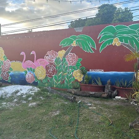 La Casa Rosal, Pool Villa Campeche Buitenkant foto