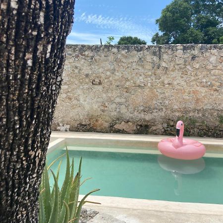 La Casa Rosal, Pool Villa Campeche Buitenkant foto