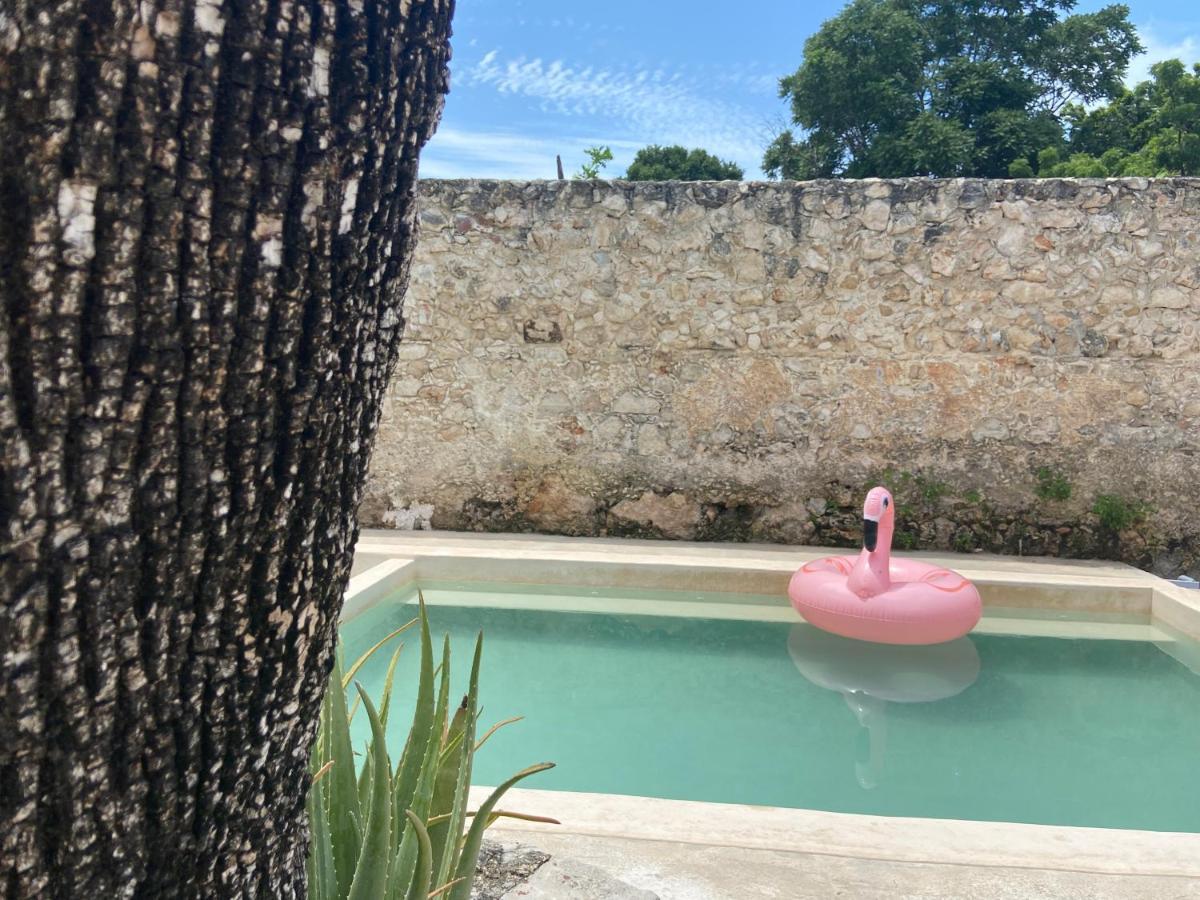 La Casa Rosal, Pool Villa Campeche Buitenkant foto